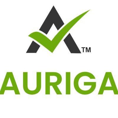 Auriga Accounting Pvt.Ltd