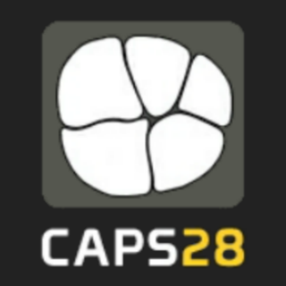 caps28